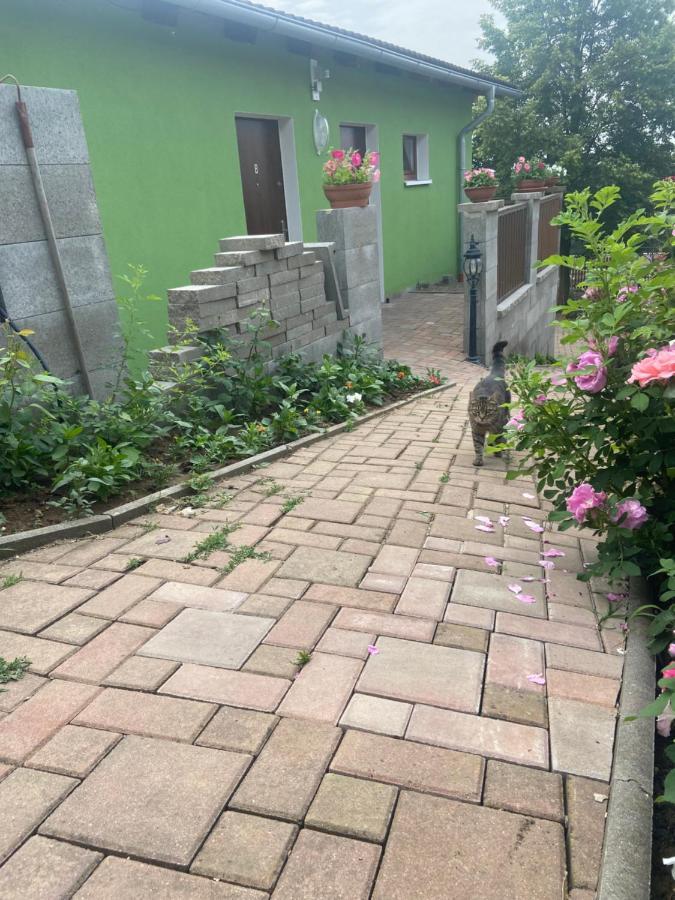 Penzion U Pavla Most Exterior photo